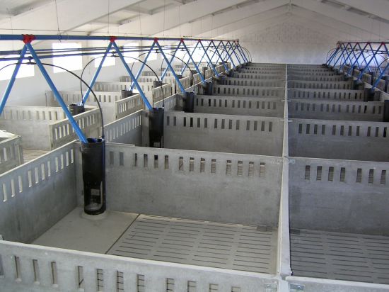 Tabiques separación para granjas prefabricadas de hormigón